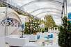 Шатровый комплекс Вайт Парк Нью Рига Бэй / White Park New Riga Bay